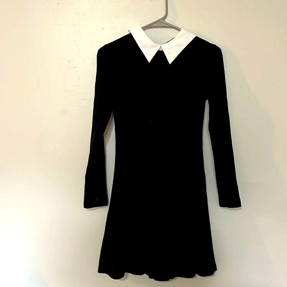 Black short collared dress